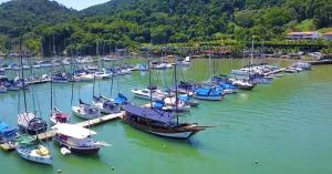 Un montón de barcos están atracados en un puerto en Passeio de barco na Escuna Ibiza, en Paraty