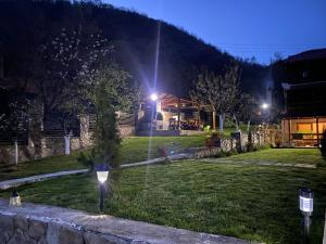 Gallery image of Casa David in Sviniţa