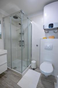 a bathroom with a shower and a toilet at Vacation home - Casa Panoramica Korčula in Korčula +36 photos
