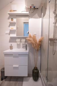 a bathroom with a sink and a shower at Vacation home - Casa Panoramica Korčula in Korčula