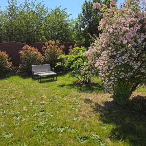 Ogród w obiekcie Maison calme et chaleureuse