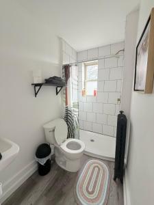 a bathroom with a toilet and a tub and a sink at Downtownrochesterretreatstylishstudiowithkitchen in Rochester