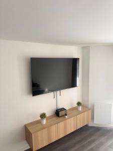 a flat screen tv on a wall with two potted plants at 24 7 Open Apartment Parking 15'Paris 5'Athletica bis in Saint-Gratien