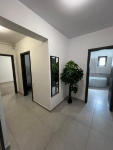 a bathroom with a toilet and a potted plant at Dobroesti Relax Apart in Dobroeşti