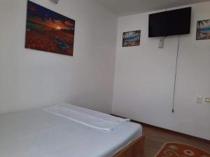 a room with a bed and a flat screen tv at Casa BELLA ELENA in Văleni +4 photos