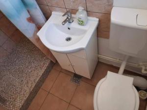 a bathroom with a white sink and a toilet at Casa BELLA ELENA in Văleni