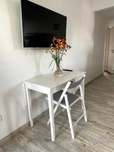 Μια τηλεόραση ή/και κέντρο ψυχαγωγίας στο Spacious Studio in Sunny Villa Minutes to Beach +32 φωτογραφίες