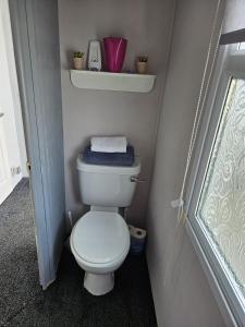 un piccolo bagno con servizi igienici bianchi in camera di Beautiful Mobile Home a Tralee Altre 5 foto