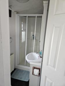un bagno bianco con doccia e lavandino di Beautiful Mobile Home a Tralee