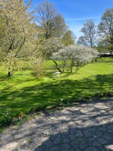 Un campo de hierba con árboles y un camino con un parque. en Tôlluste Villa, en Tõlluste 3 fotos más