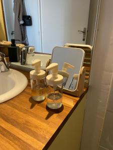 a bathroom counter with two bottles of soap and a sink at Amboise centre ville in Amboise