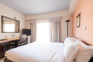 une chambre avec un lit, un bureau et une fenêtre dans l'établissement Garden Inn Hotel and Apartments, à Addis-Abeba