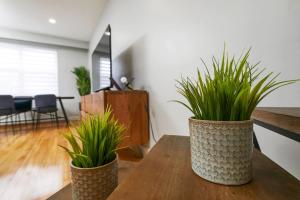 Fotografie z fotogalerie ubytování Stunning 2BR on Walkley v Montrealu