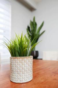 Fotografie z fotogalerie ubytování Awesome 2BR in Montreal v Montrealu