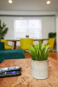 Fotografie z fotogalerie ubytování Stylish 2BR in Montreal v Montrealu