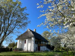 una casa blanca con techo gris y árboles en flor en Tôlluste Villa, en Tõlluste