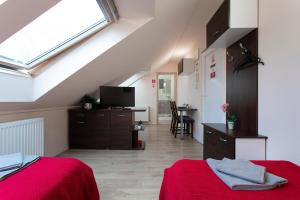Kuchnia lub aneks kuchenny w obiekcie Lucsony Apartman