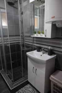 Vannituba majutusasutuses Apartmani Dejavu na Drini