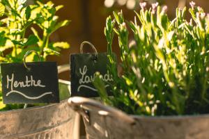 Jardin de l'établissement La Maison du Village
