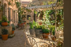 Jardin de l'établissement La Maison du Village