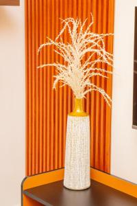Fotografie z fotogalerie ubytování Appartements meublés mpita v destinaci Pointe-Noire