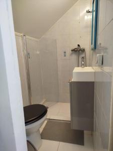 a bathroom with a toilet and a sink and a shower at Appartement individuel dans charmante maison de ville à la française in Gagny
