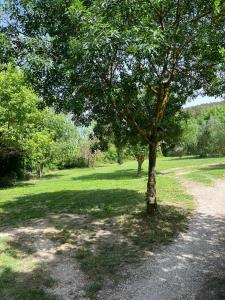 Photo de la galerie de l'établissement Dans la campagne aixoise, à Meyreuil