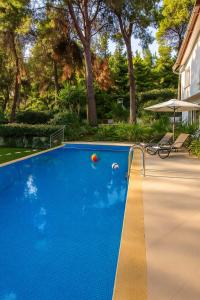Una piscina azul con una pelota en un patio. en Hera's Resort with Private Pool and Lush Garden, en Sani Beach