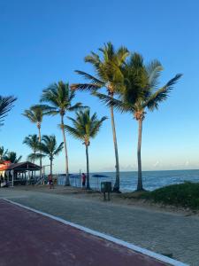 a row of palm trees next to the ocean at Lofts Paraíso de Alcobaça in Alcobaça