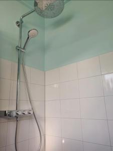 eine Dusche mit Duschkopf in einem Badezimmer in der Unterkunft Bungalow Texel near beach and city centre in De Koog + 17 Fotos