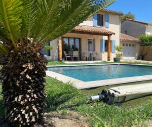 a palm tree in front of a house with a swimming pool at Maison proche centre village in Grignan