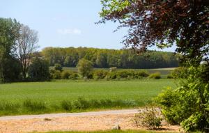 Paesaggio naturale nelle vicinanze della casa vacanze