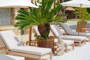a group of lounge chairs and a palm tree at La Garoupe-Gardiole in Antibes
