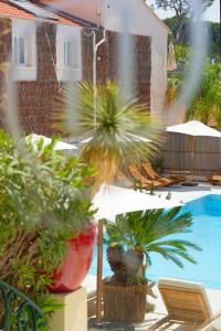 a view of a pool with chairs and umbrellas at La Garoupe-Gardiole in Antibes
