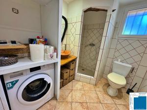 a bathroom with a washing machine and a toilet at VILLA HORUS - Bergerie 1chambre - piscine privée in San-Gavino-di-Carbini +19 photos