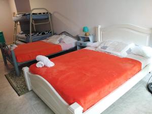 Rúm í herbergi á Sai hostels