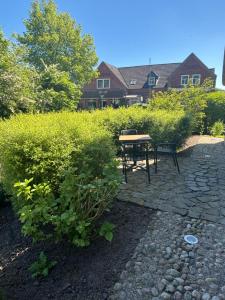 Zahrada ubytování De Friesenjung Nordsee