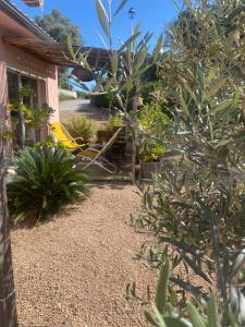 un jardín con plantas frente a una casa en Muratello Appart 1, en Porto Vecchio