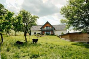Zahrada ubytování KOASA HOF Bed and Breakfast