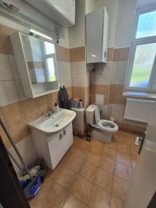 Koupelna v ubytování Apartmán pro 4 osoby, Vejprty
