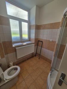Koupelna v ubytování Apartmán pro 4 osoby, Vejprty