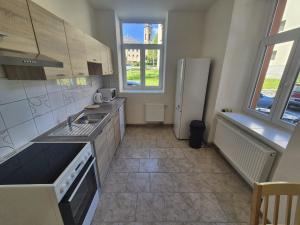 Kuchyň nebo kuchyňský kout v ubytování Apartmán pro 4 osoby, Vejprty