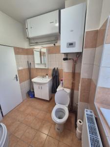 Koupelna v ubytování Apartmán pro 4 osoby, Vejprty