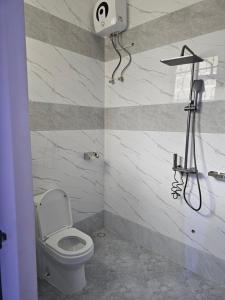 a bathroom with a toilet and a shower at King Cave Luxury Apartment in Nkunjila