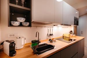 a kitchen with a sink and a counter top at Easy Flat 20 Settembre in Turin +31 photos