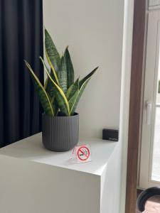 a plant sitting on a counter with a no smoking sign at Roslep Apartment in Haapsalu