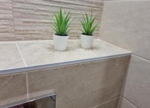 two plants sitting on a counter in a bathroom at Apartment Medika 2 in Ruse