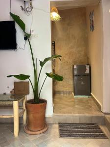 una pianta in un vaso in una stanza con un frigorifero di Taghazout Gem - 2BR, Fast Wi-Fi ad Agadir