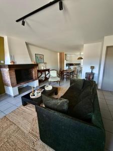 a living room with a couch and a fireplace at La Maison de l'Aqueduc in Cournanel