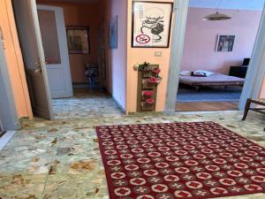 a hallway with a red rug on the floor at FRONTE PO in Turin